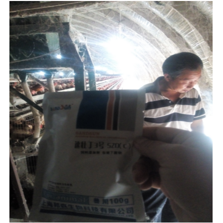上海邦森速壯丁在蛋禽上的應(yīng)用，看看淮北客戶怎么評價