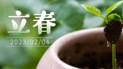立春橫