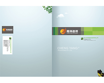 �̗�����O(sh��)Ӌ(j��)Ч��